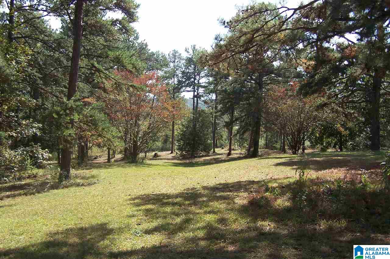 4907 County Road 45 Hayden, AL 35079 - Photo 5 of 28