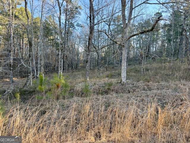 0 River Ridge Trail, Unit 396 Sparta, GA 31087 - Photo 2 of 3 a view of a forest