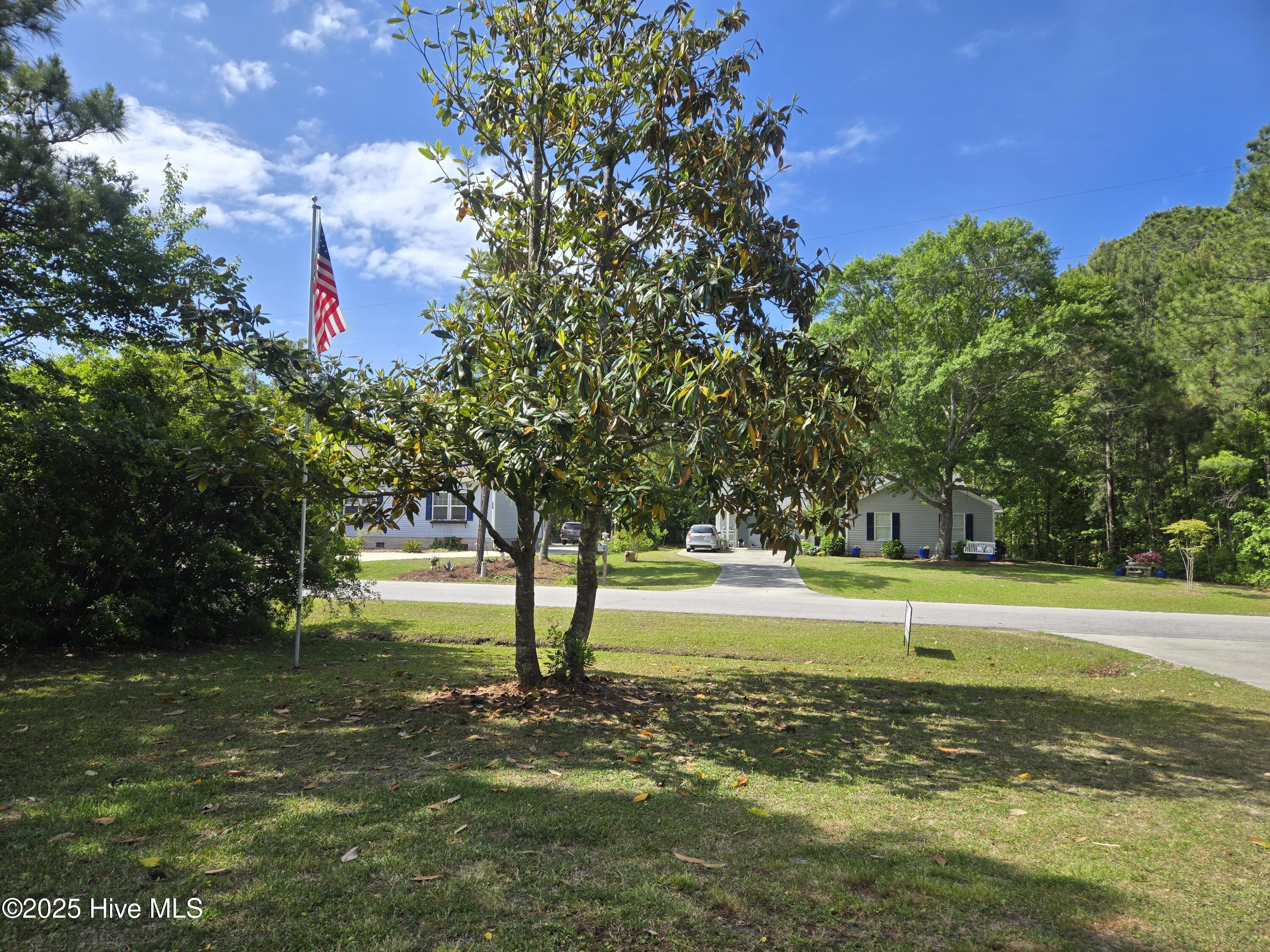 Front yard