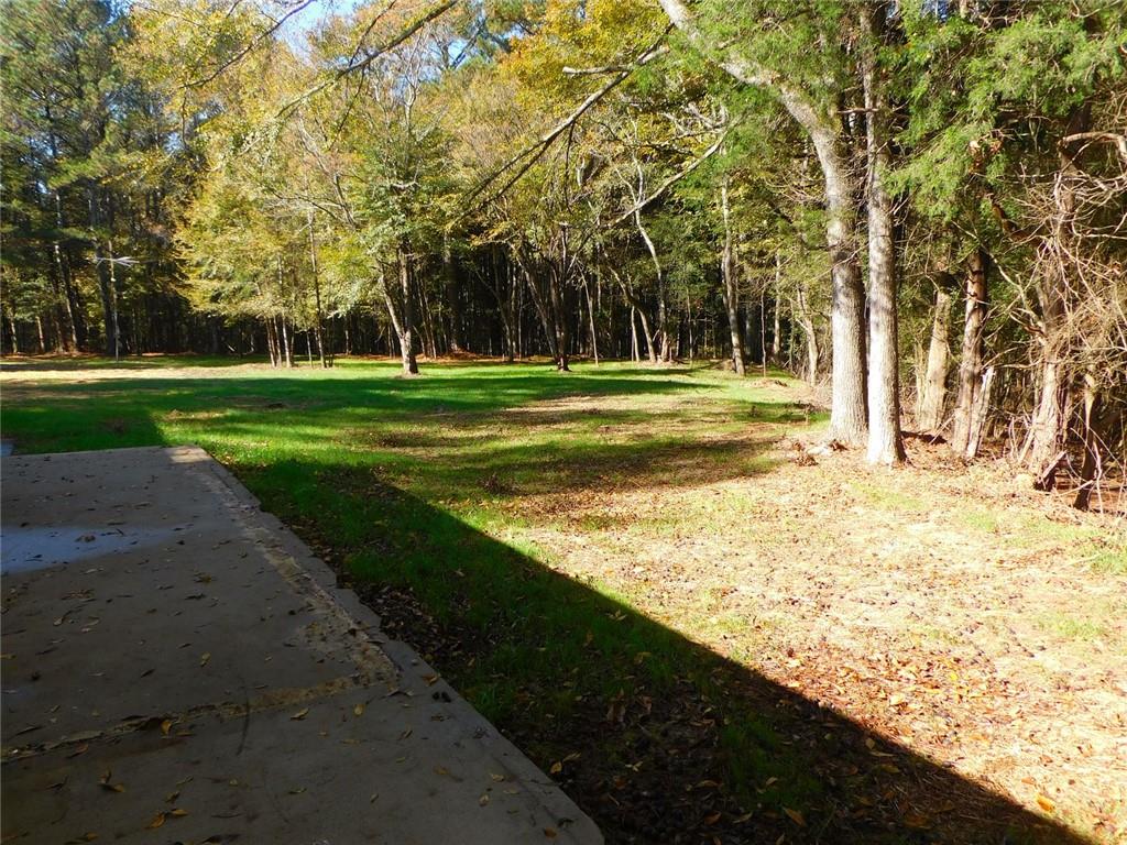 1101 Boswell Road Union Point, GA 30669 - Photo 24 of 60 a view of a park with large trees