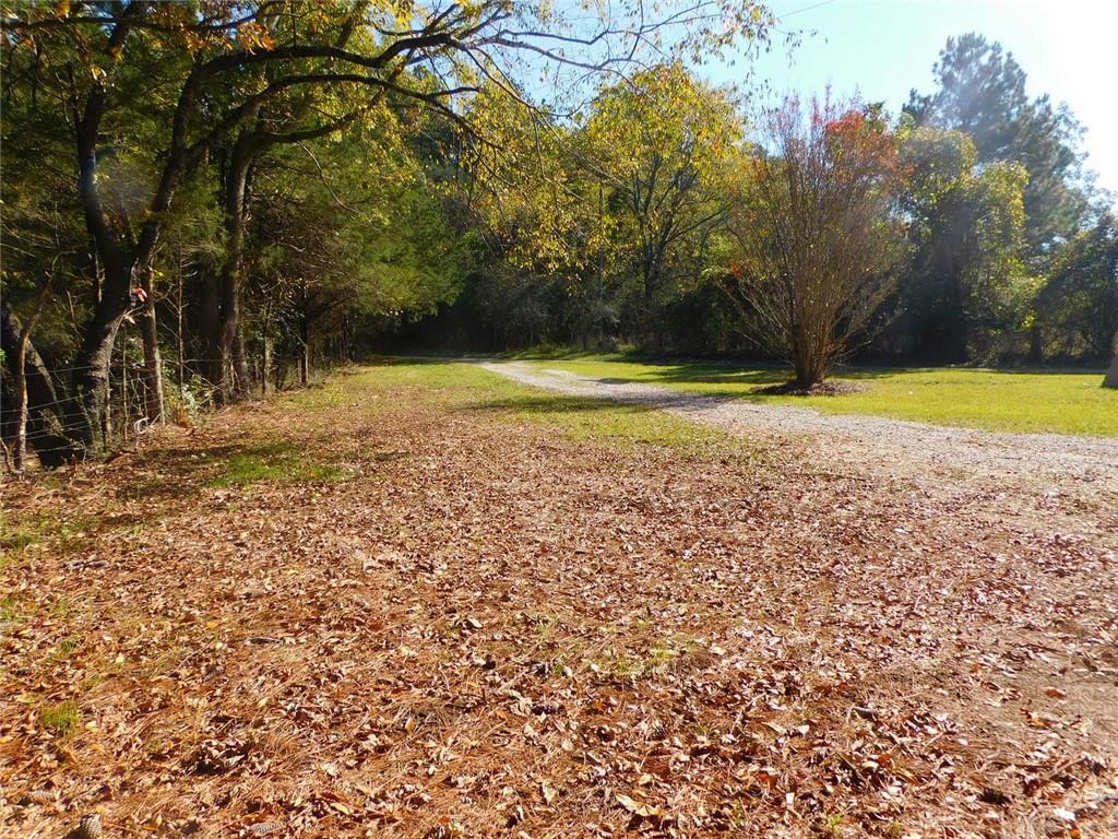 1101 Boswell Road Union Point, GA 30669 - Photo 25 of 60 a view of a yard with trees