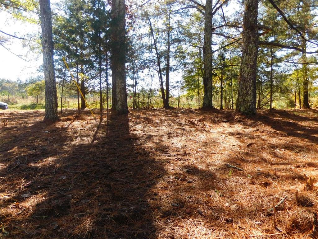 1101 Boswell Road Union Point, GA 30669 - Photo 26 of 60