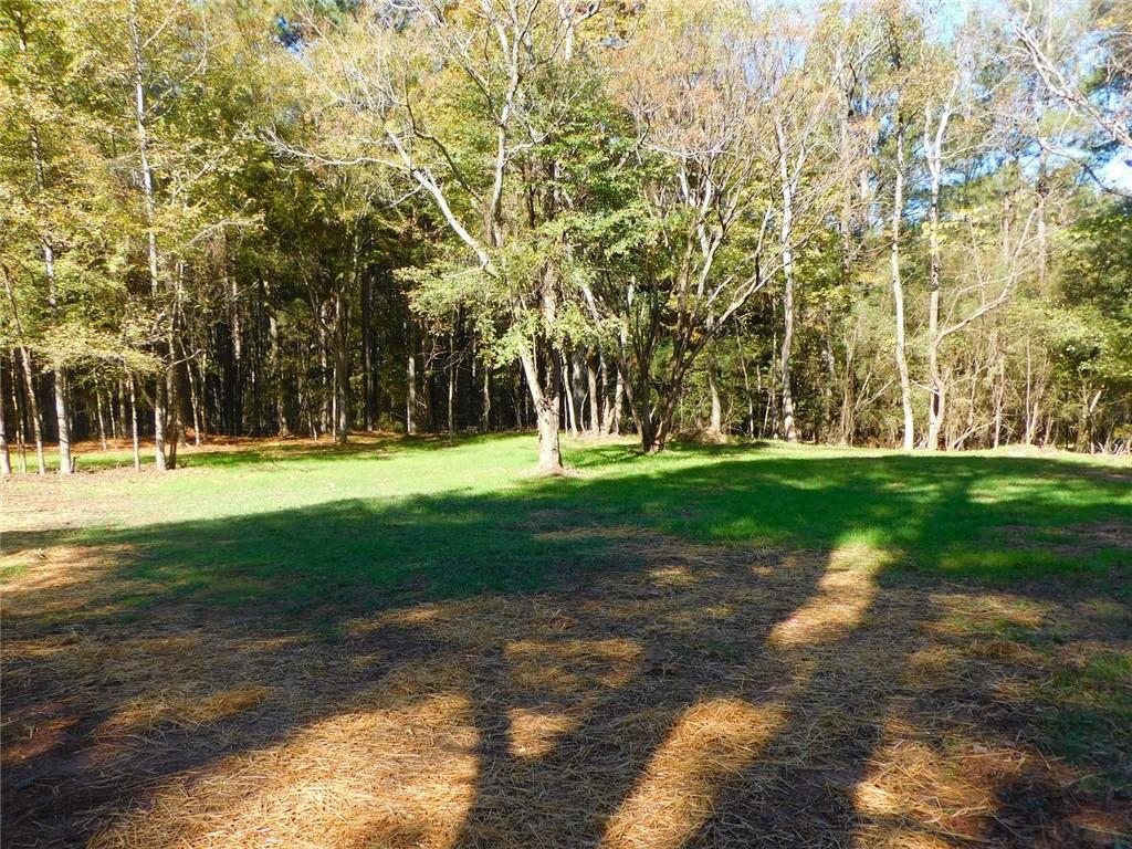 1101 Boswell Road Union Point, GA 30669 - Photo 27 of 60 a view of a park