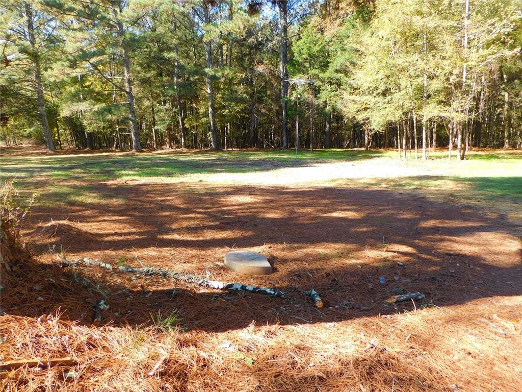 1101 Boswell Road Union Point, GA 30669 - Photo 57 of 60