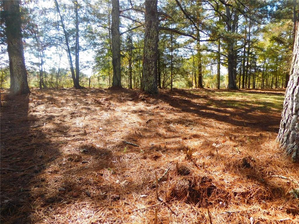 1101 Boswell Road Union Point, GA 30669 - Photo 58 of 60 a backyard of a house with lots of green space