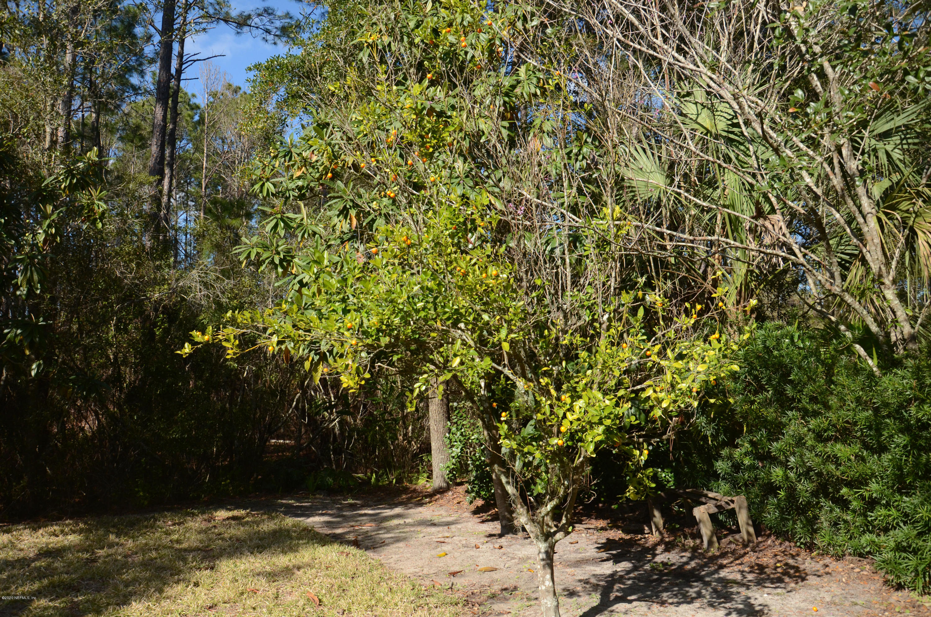 614 Loire Court St. Johns, FL 32259 - Photo 28 of 41 DSC_3123