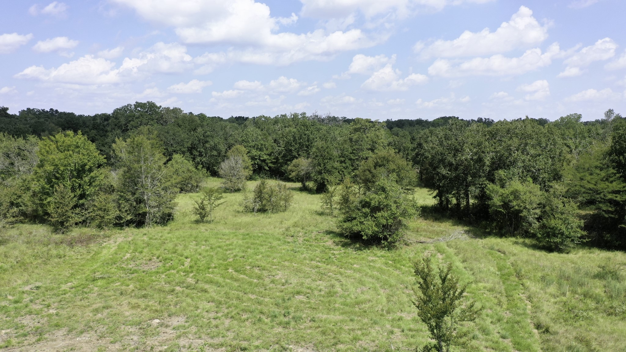 9960 Goose Prairie Road Midway, TX 75852 - Photo 21 of 28 Exterior