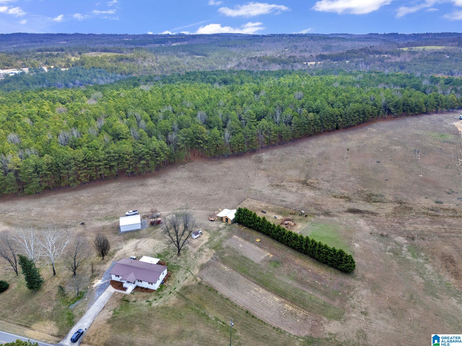 5743 County Road 27 Springville, AL 35146 - Photo 31 of 43