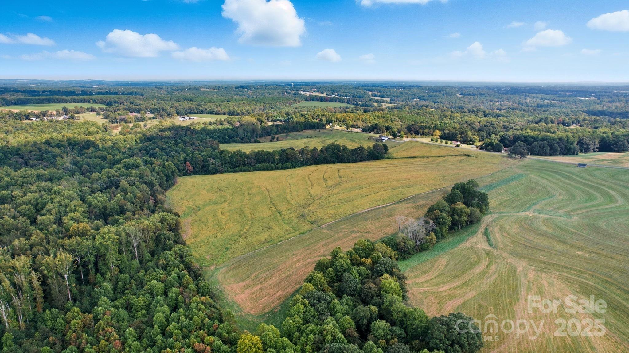 0 Davids Chapel Church Road Vale, NC 28168 - Photo 3 of 12