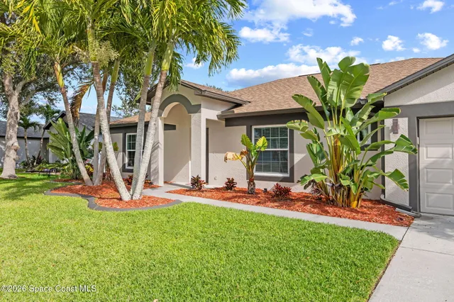 a view of a backyard with a slide trees and plants