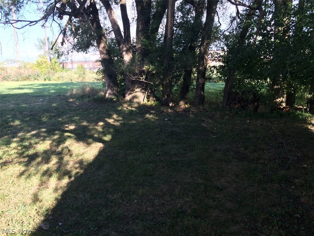 25505 Tungsten Road Euclid, OH 44132 - Photo 2 of 3 Gallery Image 2