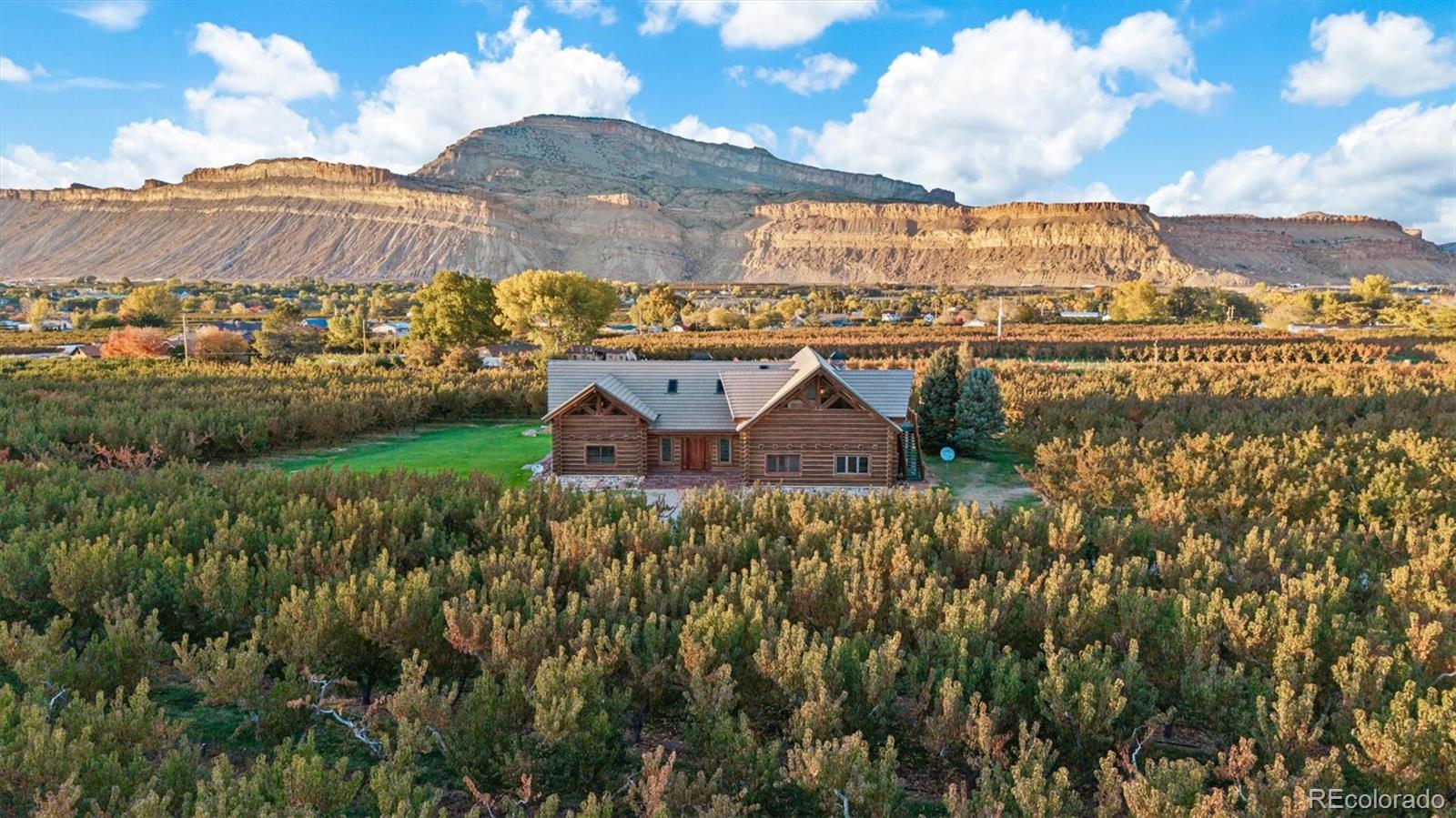 3875 F F 3/4 Road Palisade, CO 81526 - Photo 11 of 45 a view of a house with a yard and pool
