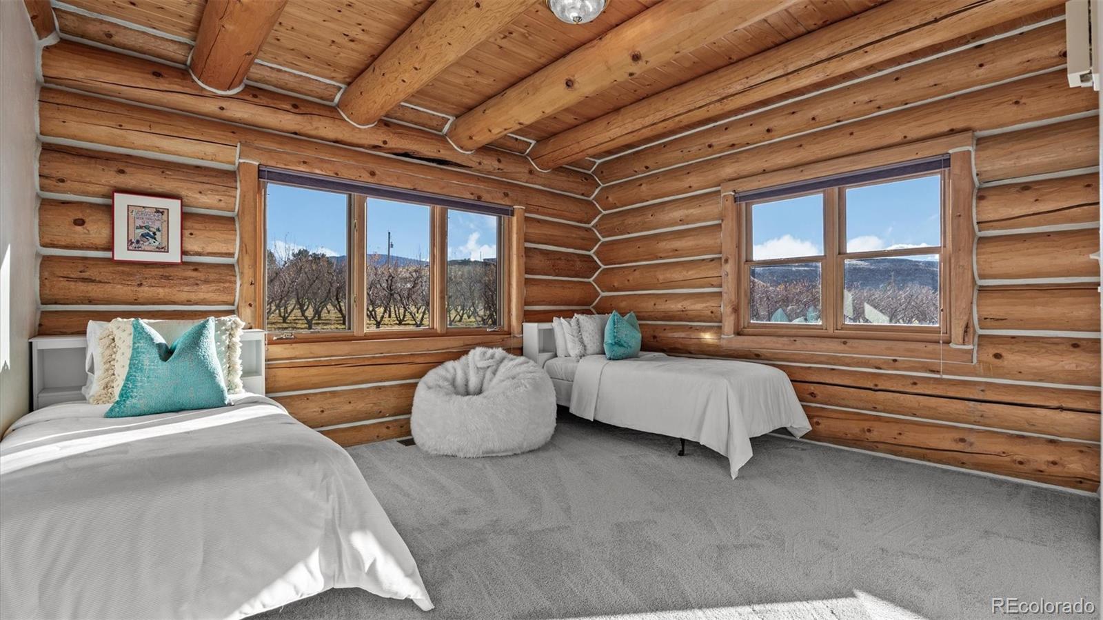 3875 F F 3/4 Road Palisade, CO 81526 - Photo 38 of 45 a bedroom with furniture and large windows