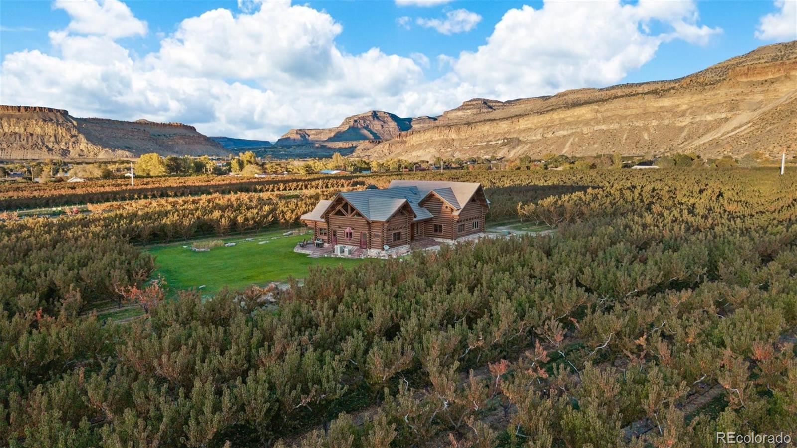 3875 F F 3/4 Road Palisade, CO 81526 - Photo 43 of 45 a view of a city