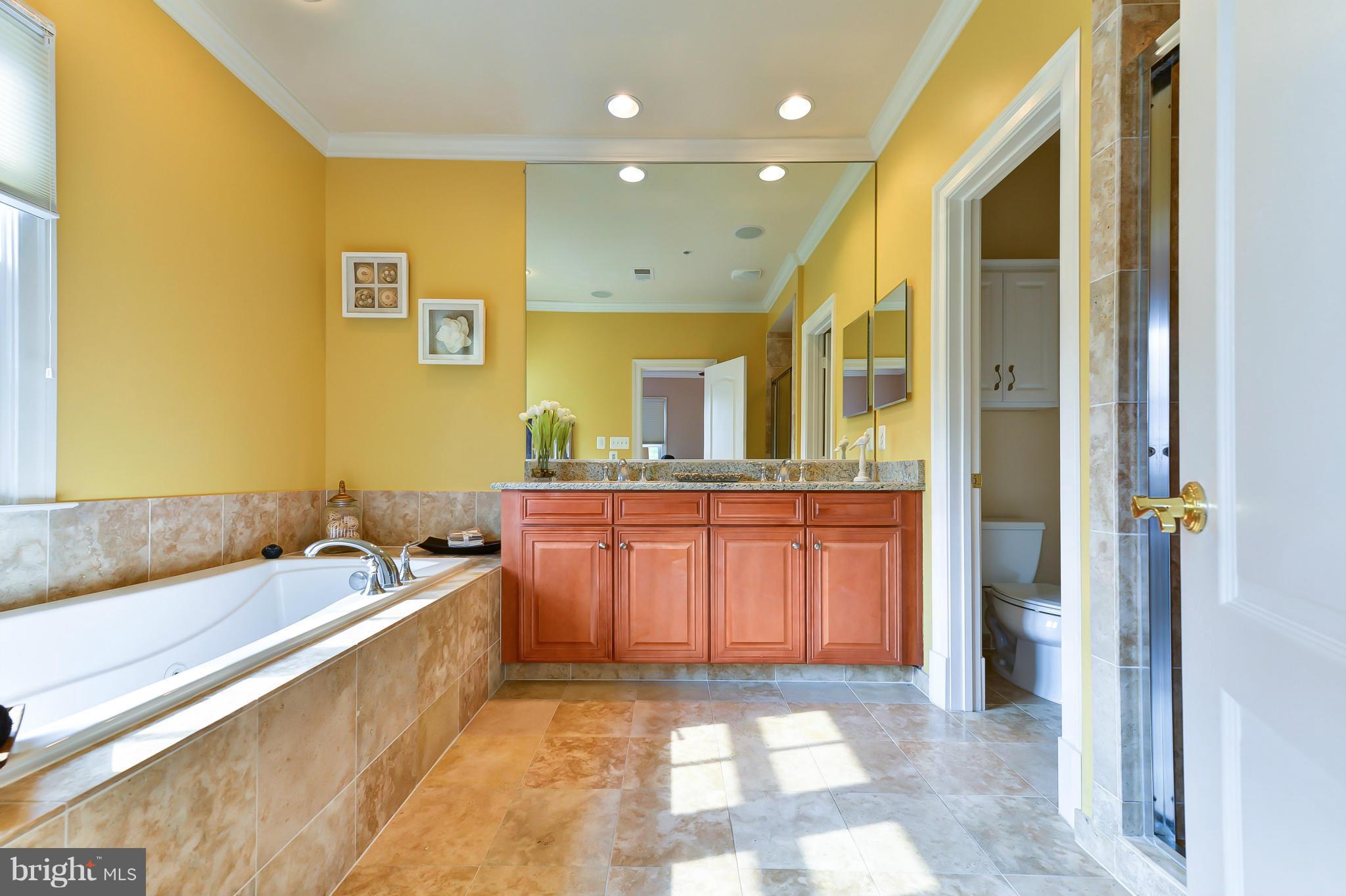 1728 Carpenter Road Alexandria, VA 22314 - Photo 17 of 29 a spacious bathroom with a granite countertop sink and a mirror