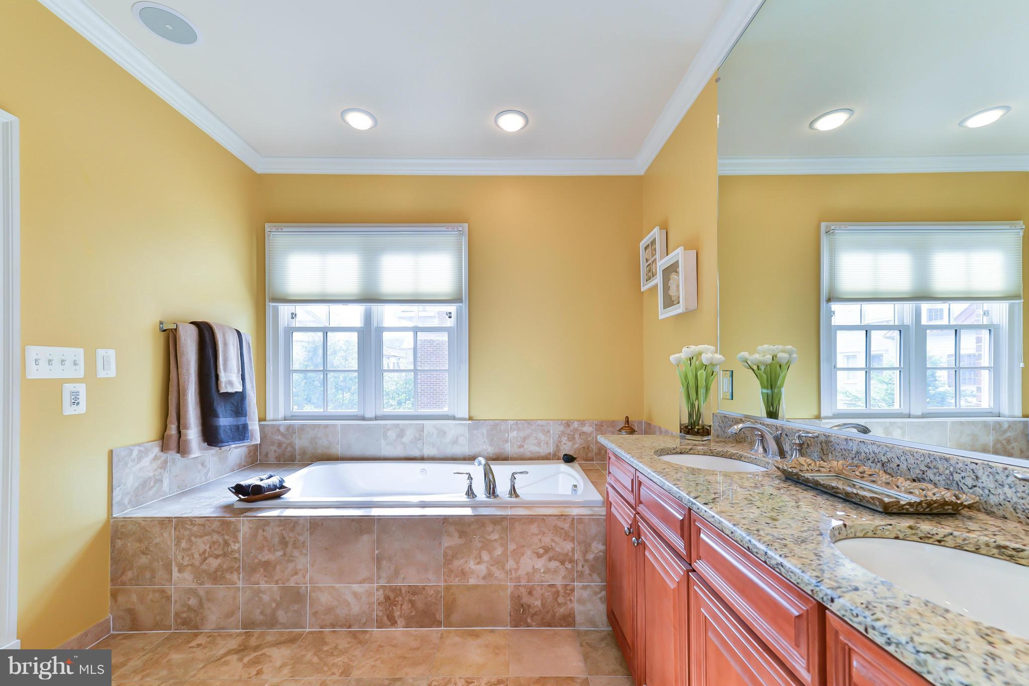 1728 Carpenter Road Alexandria, VA 22314 - Photo 18 of 29 a spacious bathroom with a granite countertop tub sink and mirror