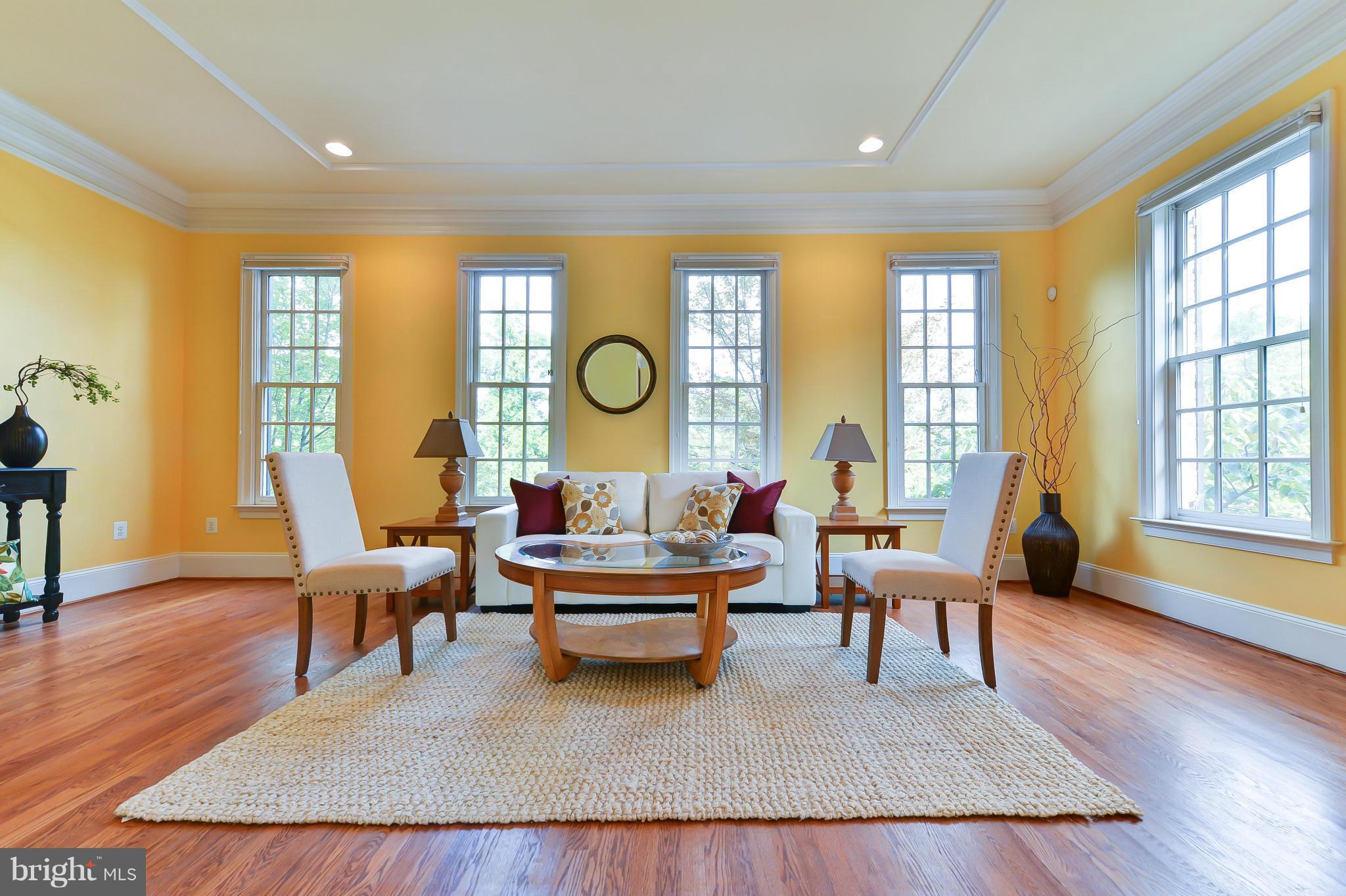 1728 Carpenter Road Alexandria, VA 22314 - Photo 5 of 29 a living room with fireplace furniture and a large window