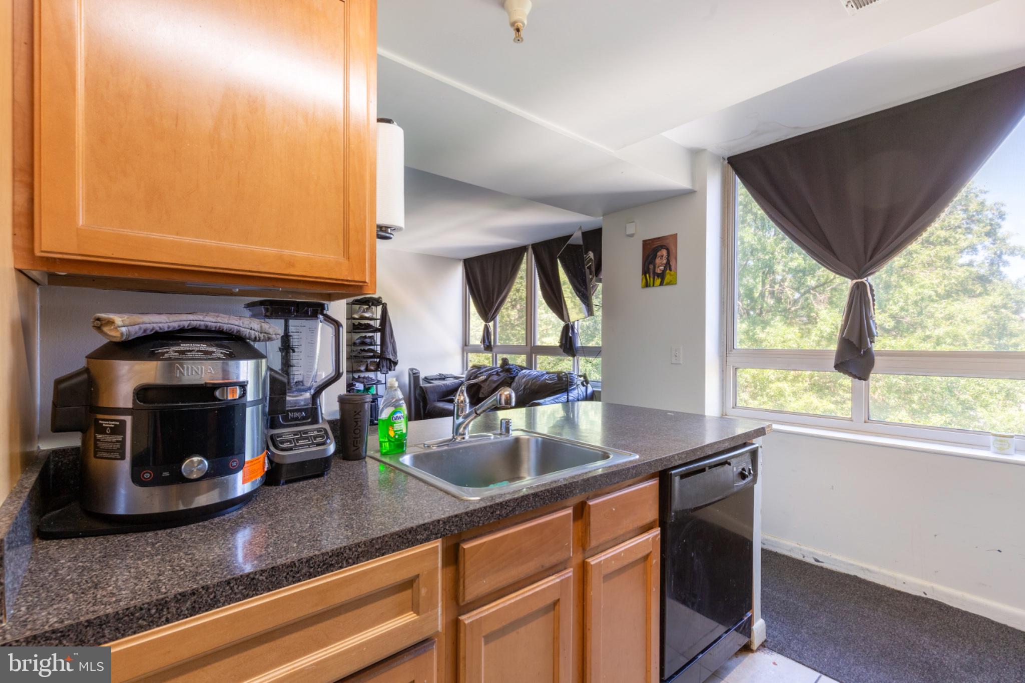 350 G Street Southwest, Unit N423 Washington, DC 20024 - Photo 20 of 43 Bright kitchen with scenic views.