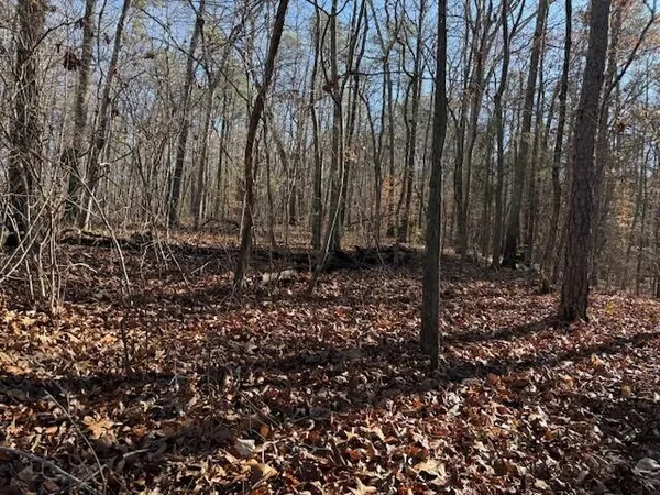 $59,000 | Lot 5 County Road 751, Unit LOT 5, Valley Head, AL 35989