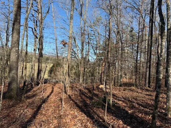 $59,000 | Lot 5 County Road 751, Unit LOT 5, Valley Head, AL 35989