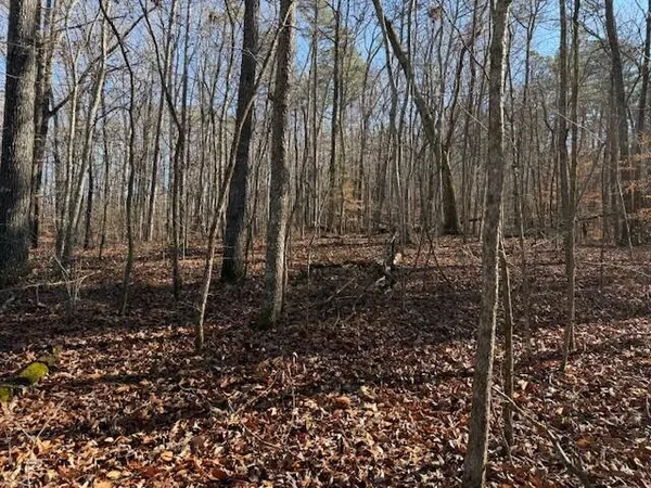 $59,000 | Lot 5 County Road 751, Unit LOT 5, Valley Head, AL 35989