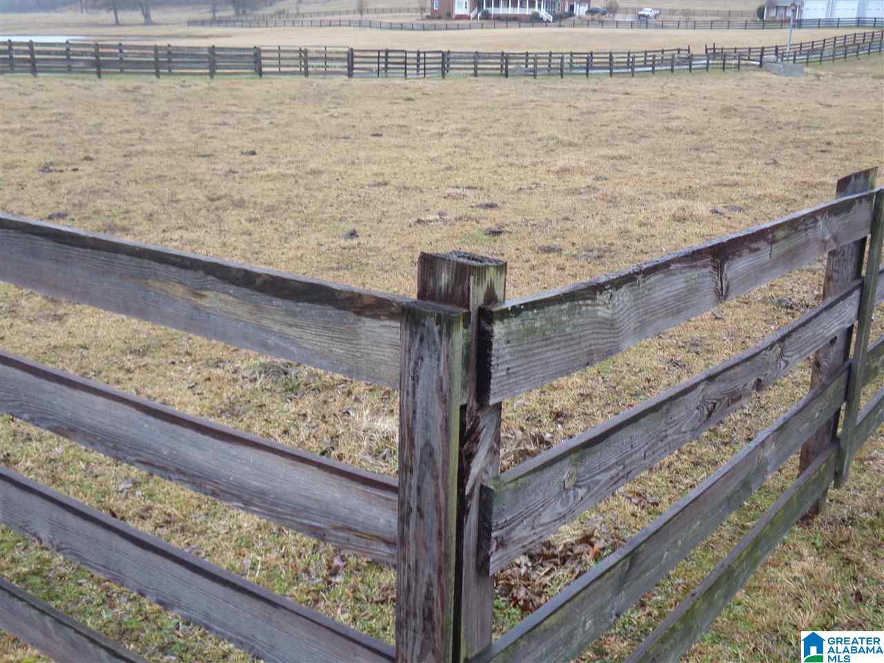 8881 Wolf Creek Road Pell City, AL 35128 - Photo 17 of 20