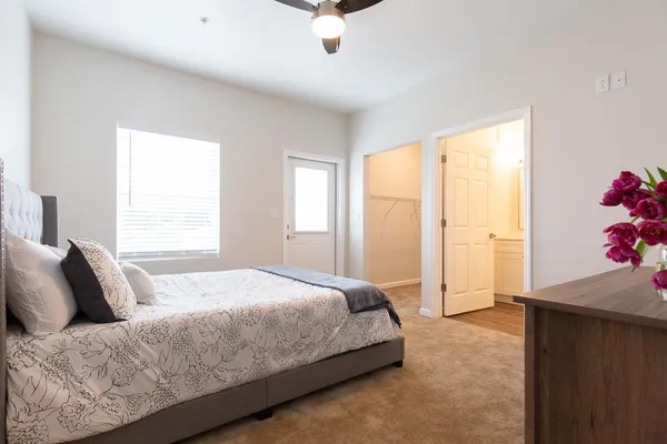 $1,395 | 3554 Austin Davis Avenue, Unit 306, Tallahassee, FL 32308