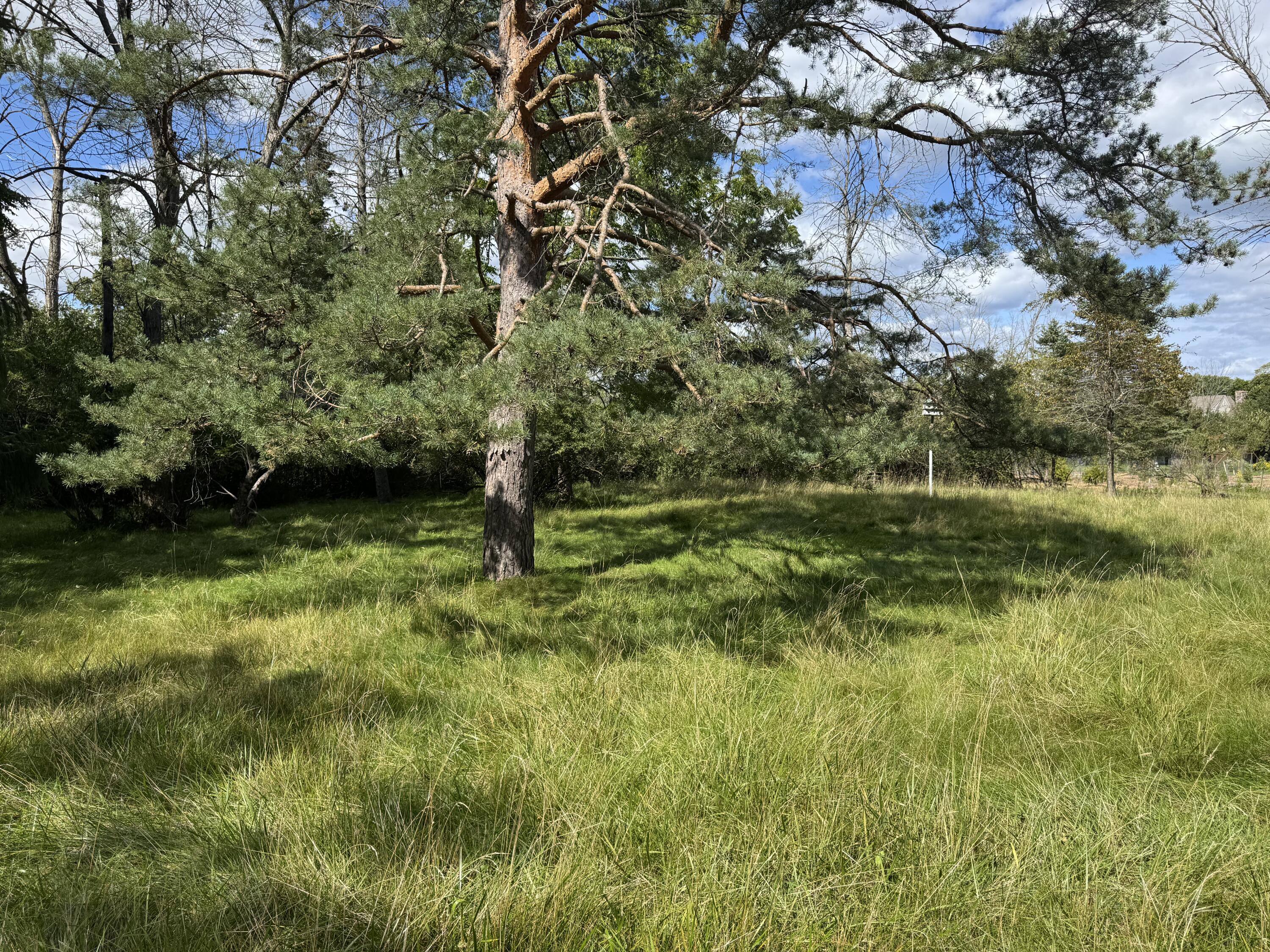 114 West Mequon Road Mequon, WI 53092 - Photo 3 of 5 IMG_1004