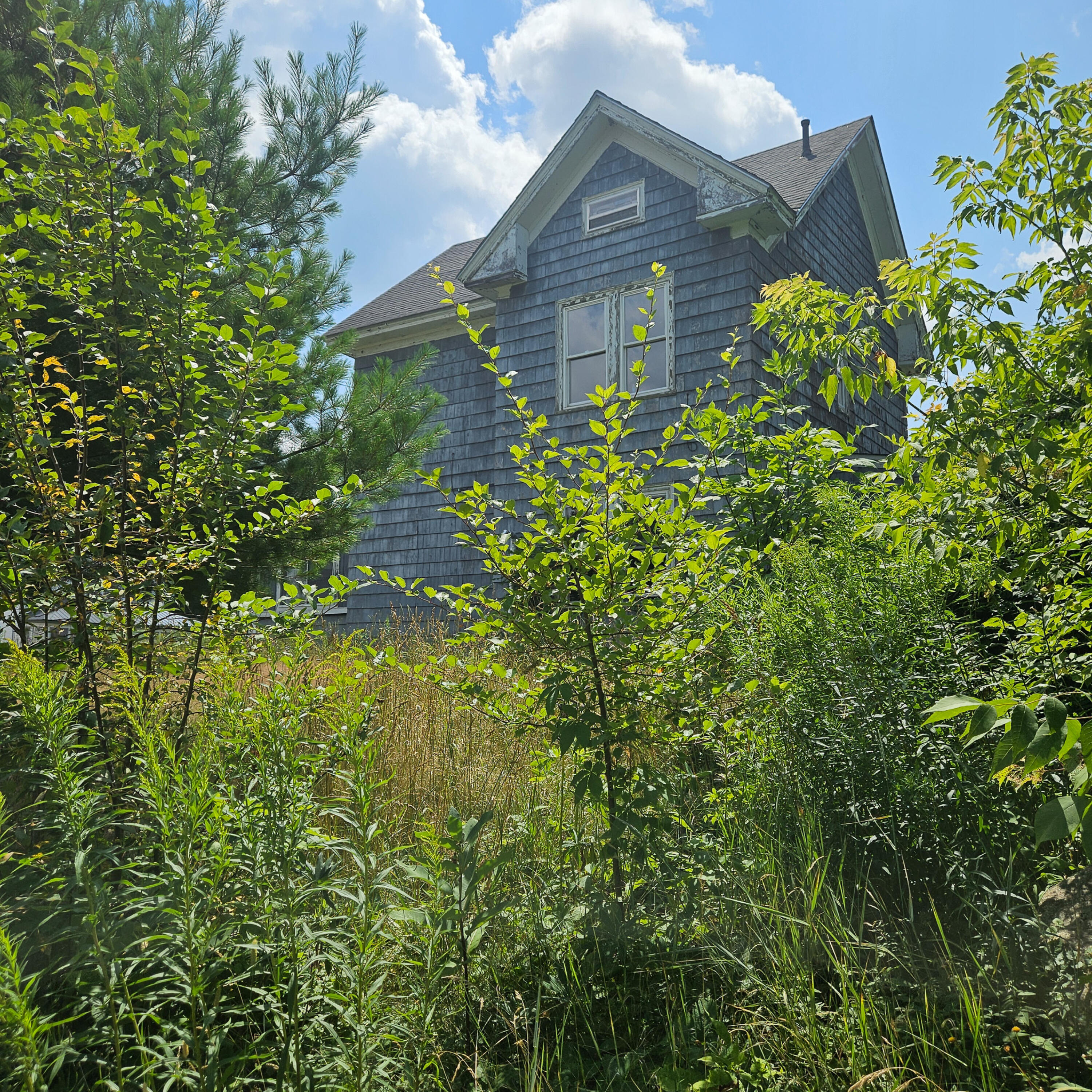 6 Pine Street East Millinocket, ME 04430 - Photo 6 of 8 6