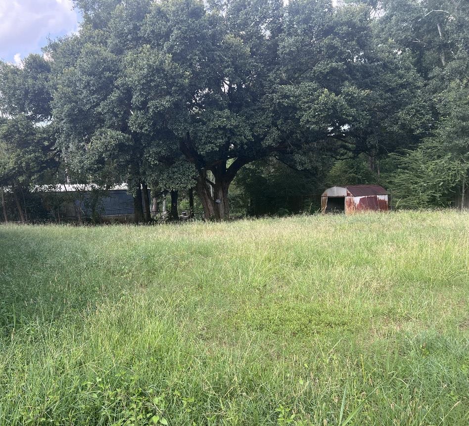 23340 Mildorf Road Robertsdale, AL 36567 - Photo 3 of 10