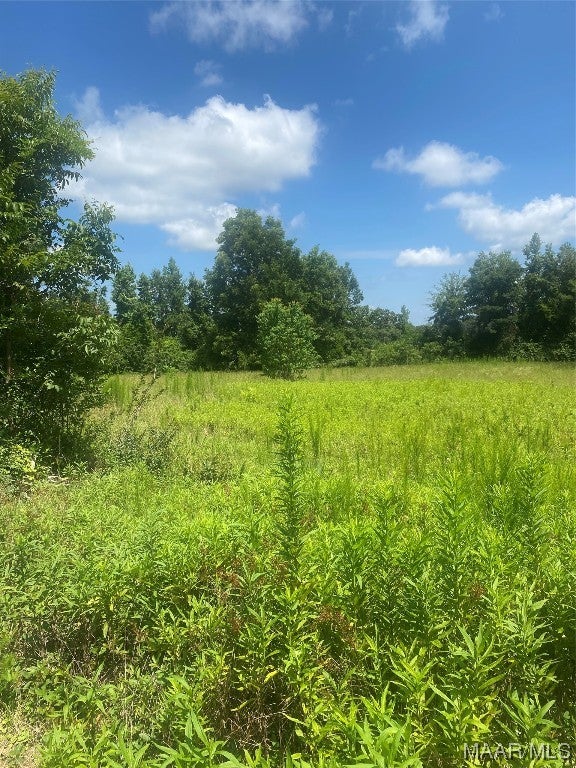 0 County Road 1166 Road Troy, AL 36079 - Photo 9 of 12 Gallery Image 9