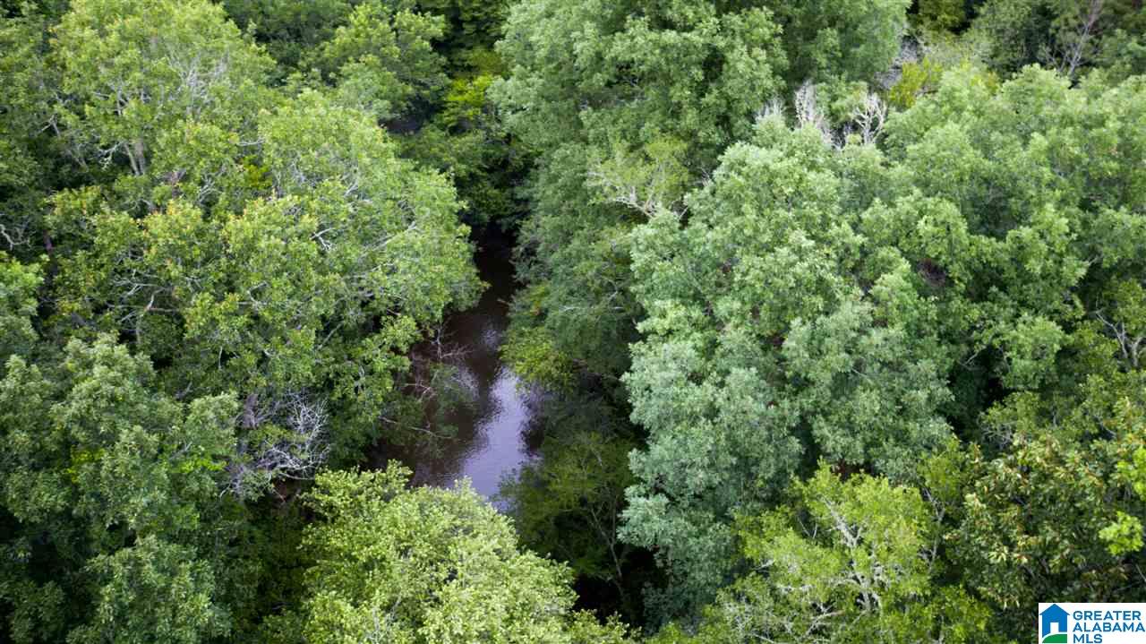180 Gibson Road, Unit 76 / ACRES OFF GIBSON R Columbiana, AL 35051 - Photo 33 of 50