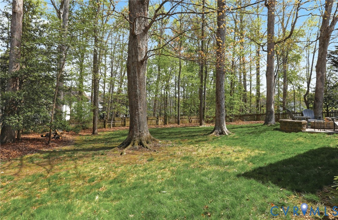 1506 Goswick Ridge Road Midlothian, VA 23114 - Photo 37 of 52