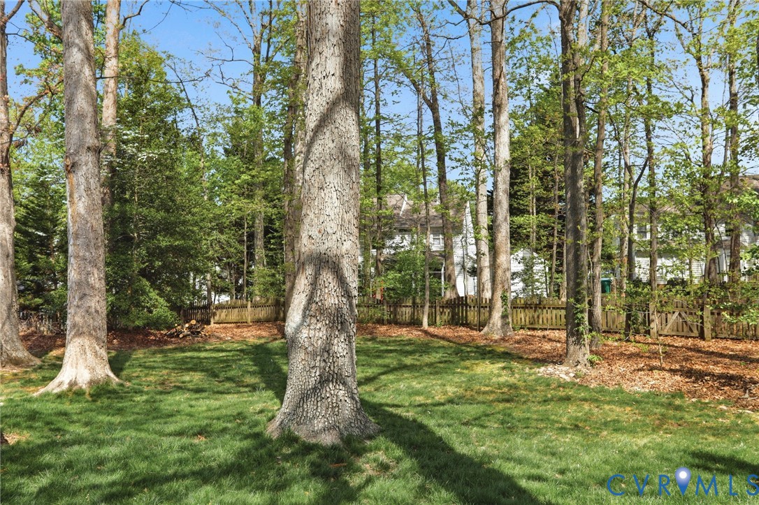 1506 Goswick Ridge Road Midlothian, VA 23114 - Photo 38 of 52