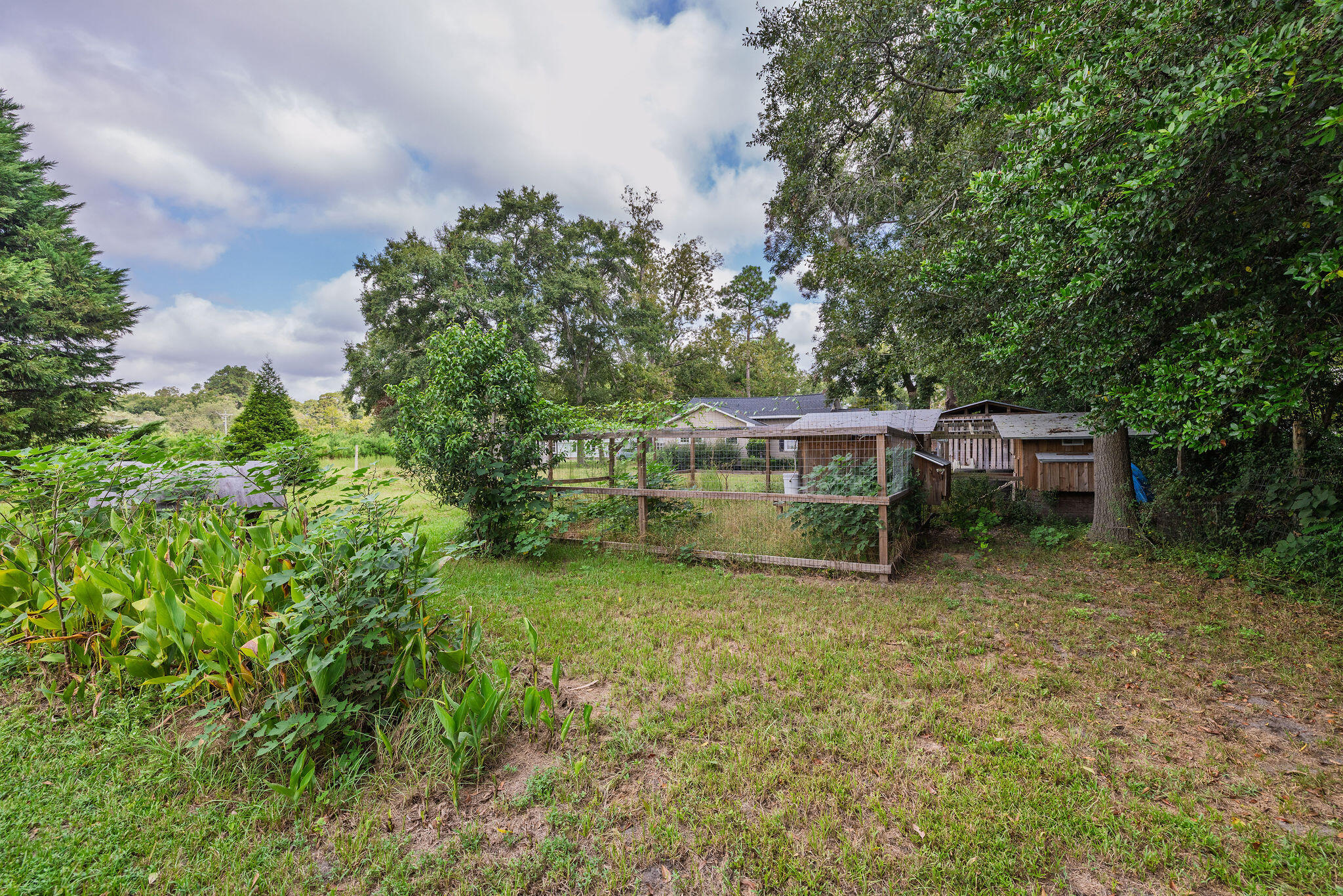105 Dukes Street St. George, SC 29477 - Photo 36 of 58 Yard to Back of Home (Chicken Coop)