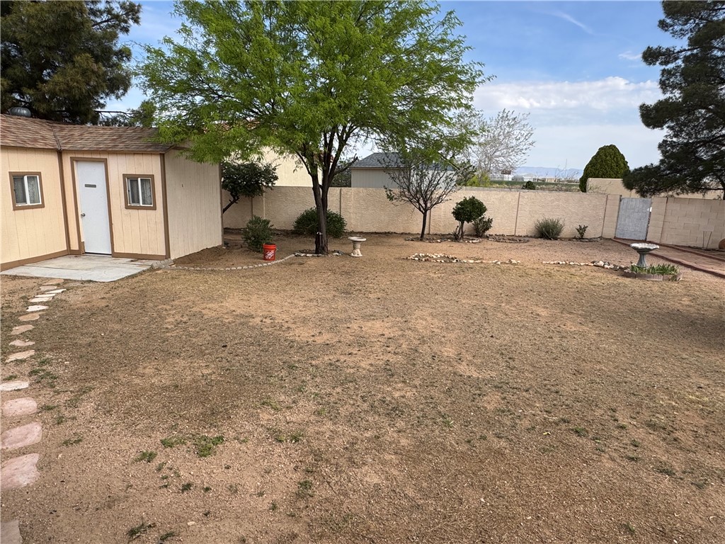 4029 Roma Road Kingman, AZ 86401 - Photo 50 of 90 The property features an expansive yard with a storage shed, a mature tree, and a stone pathway