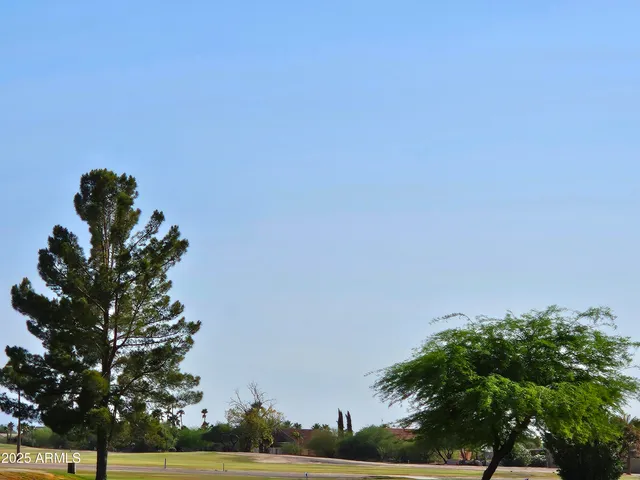 a flower plants in front of a building