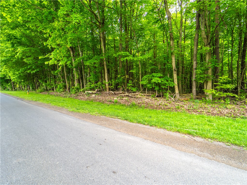 6421 Waters Road Red Creek, NY 13143 - Photo 1 of 1 Gallery Image 1