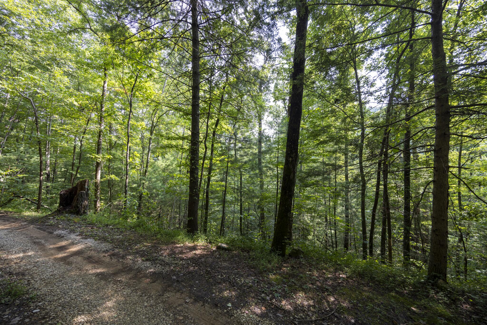 Lot 2 Cave Hollow Road Zoe, KY 41397 - Photo 6 of 29 Appalachian Media-6