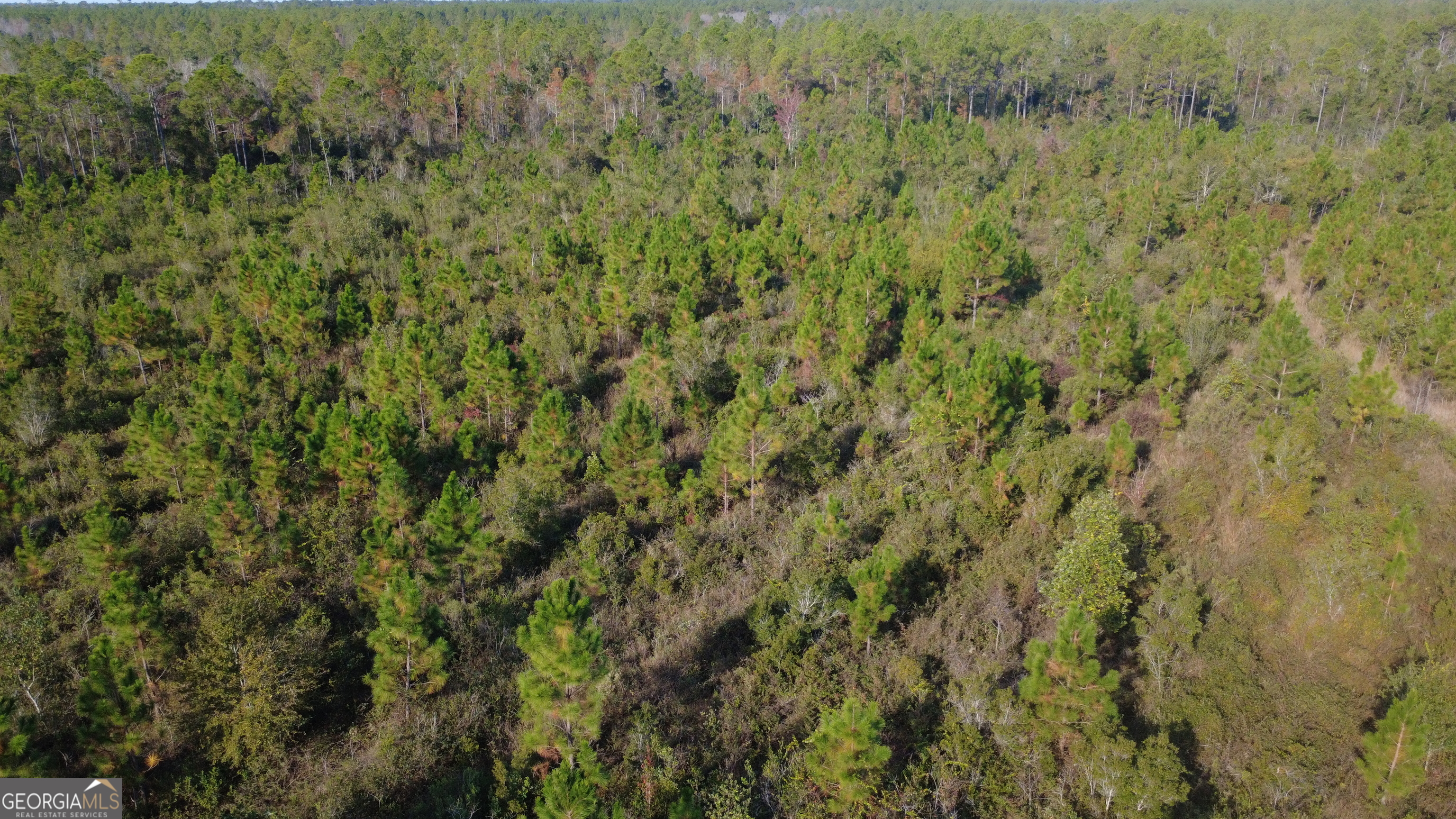 0 Fargo Highway Homerville, GA 31634 - Photo 11 of 13 a view of a lush green field