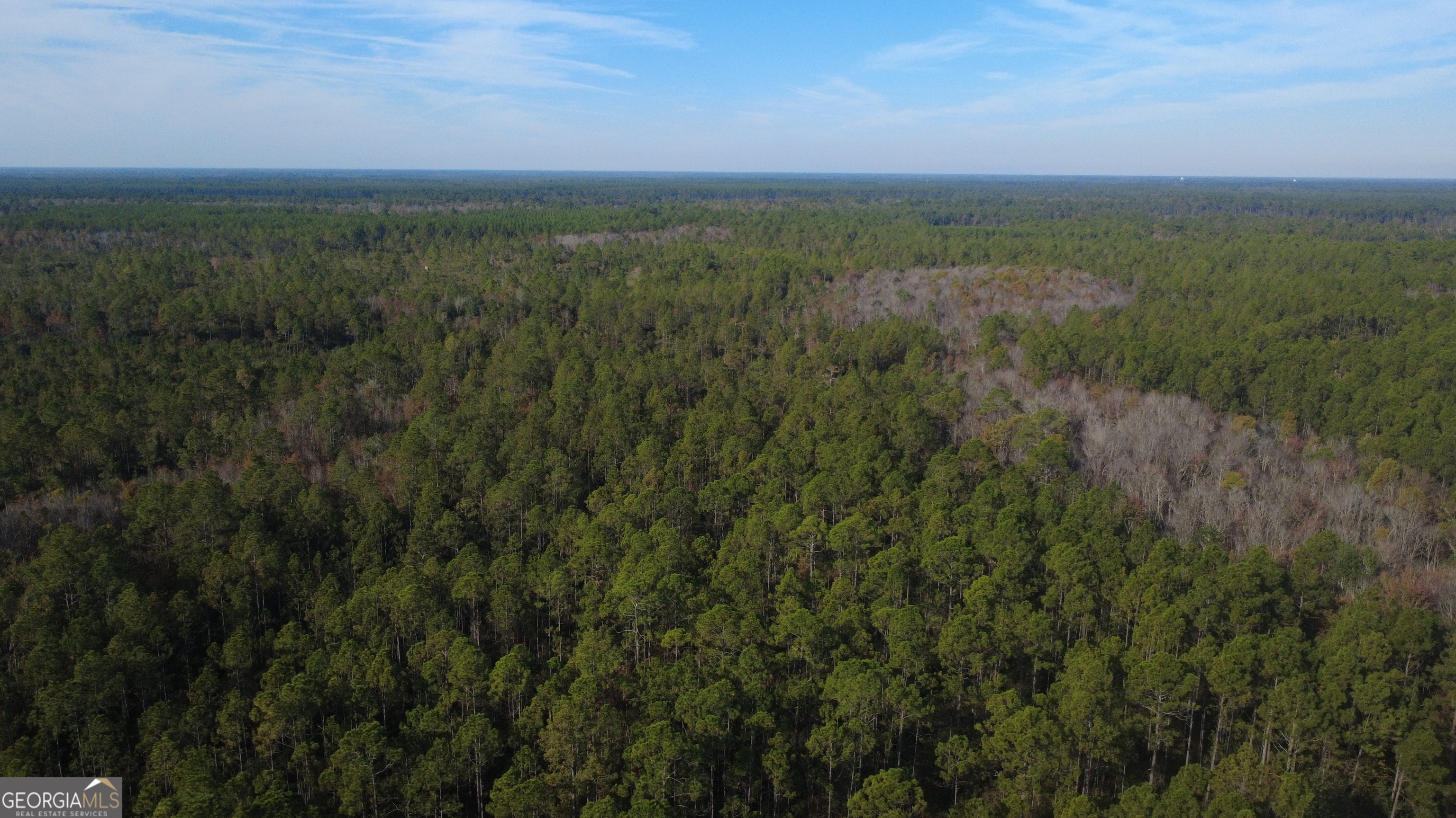 0 Fargo Highway Homerville, GA 31634 - Photo 13 of 13 a view of a city with lush green forest