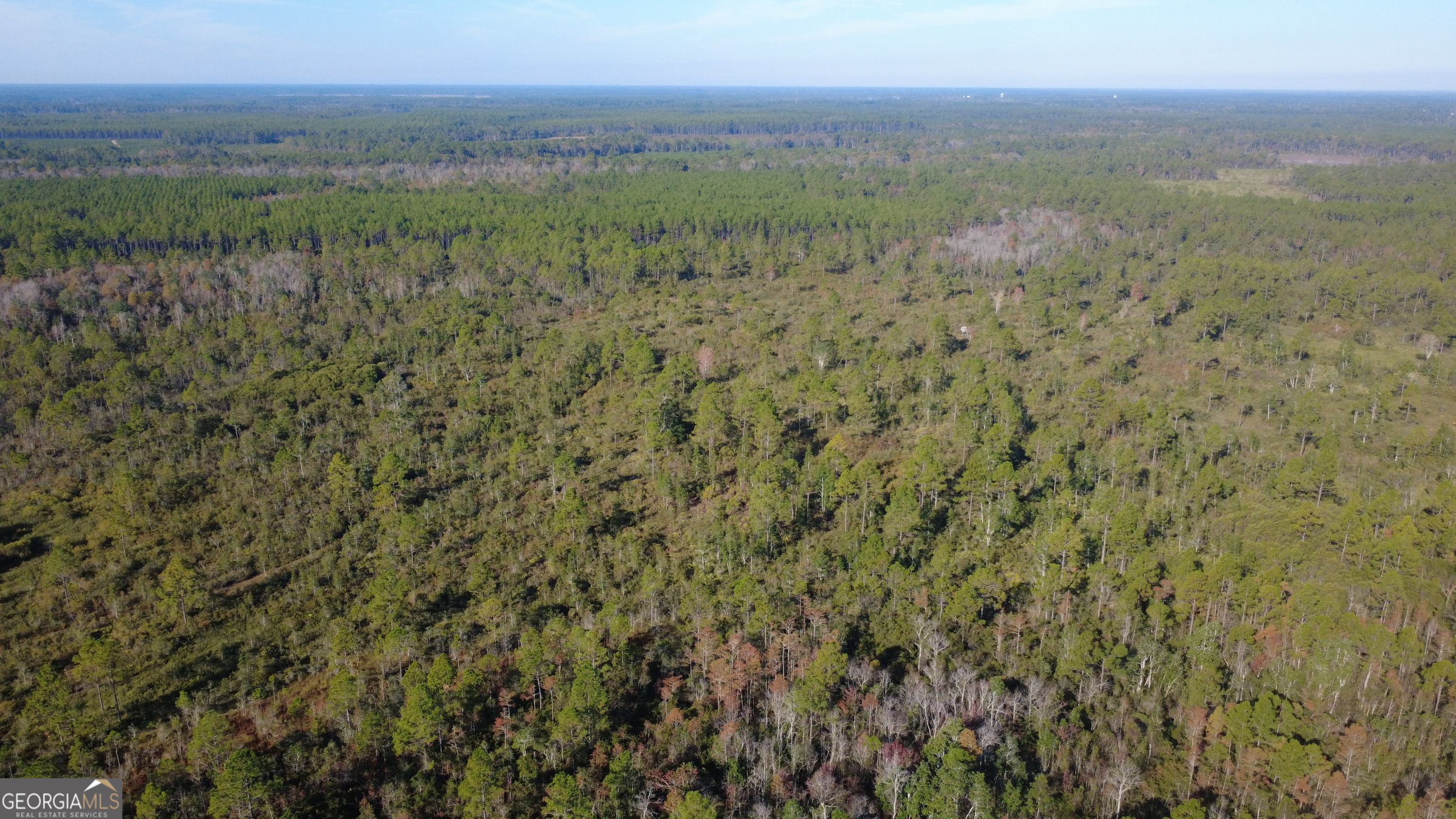 0 Fargo Highway Homerville, GA 31634 - Photo 2 of 13