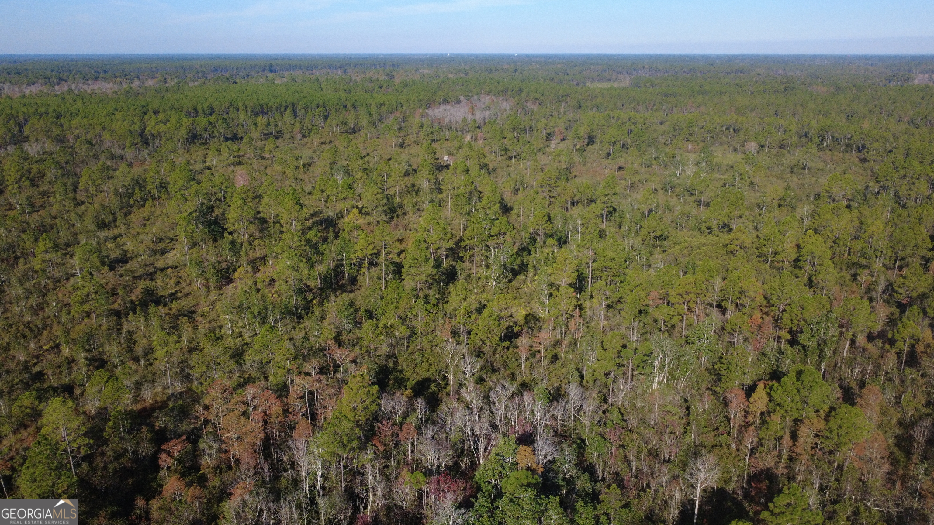 0 Fargo Highway Homerville, GA 31634 - Photo 3 of 13 a view of a field with an outdoor space