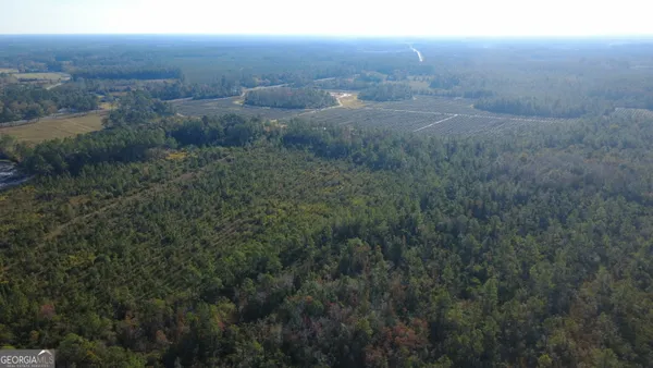 a view of a field of grass and trees