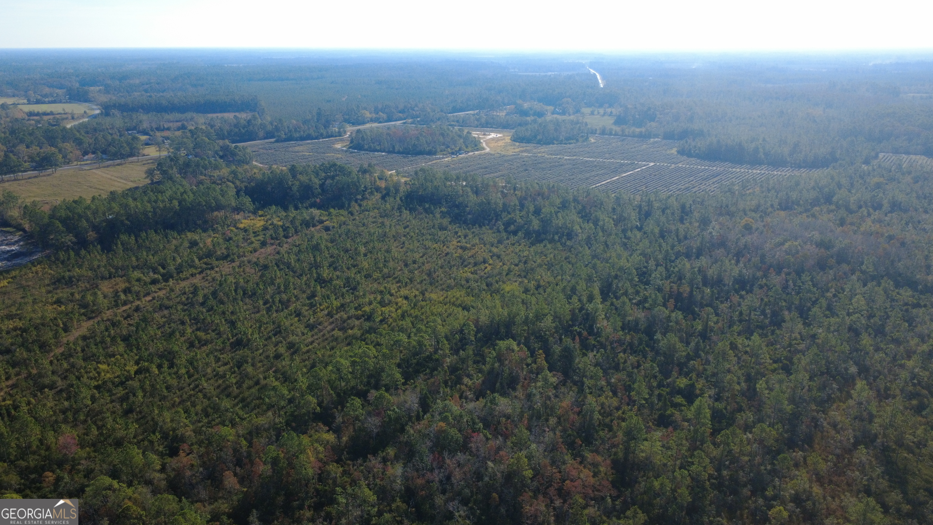 0 Fargo Highway Homerville, GA 31634 - Photo 5 of 13 a view of a field of grass and trees