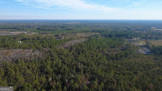 a view of a city and lush green forest