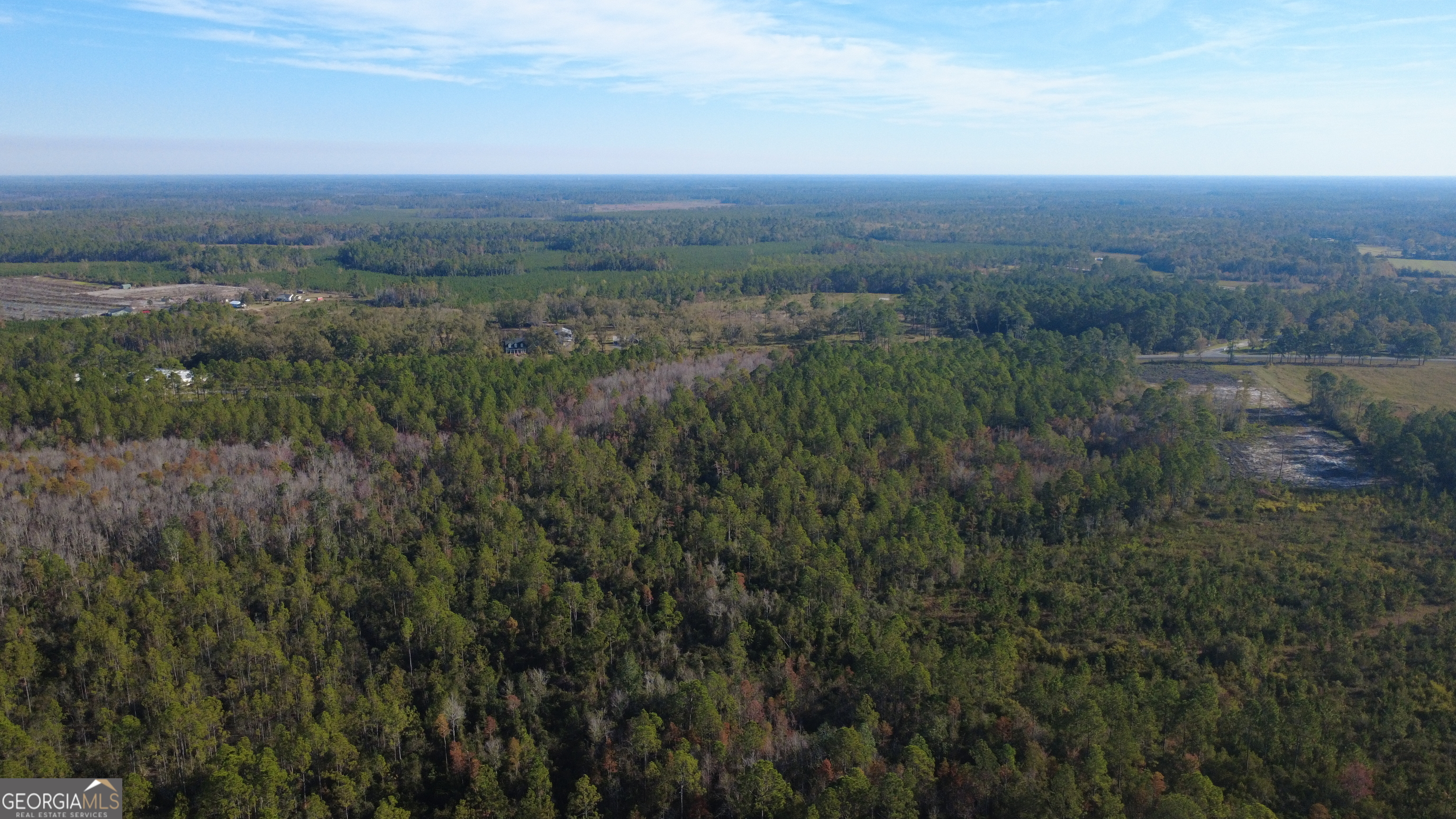 0 Fargo Highway Homerville, GA 31634 - Photo 6 of 13