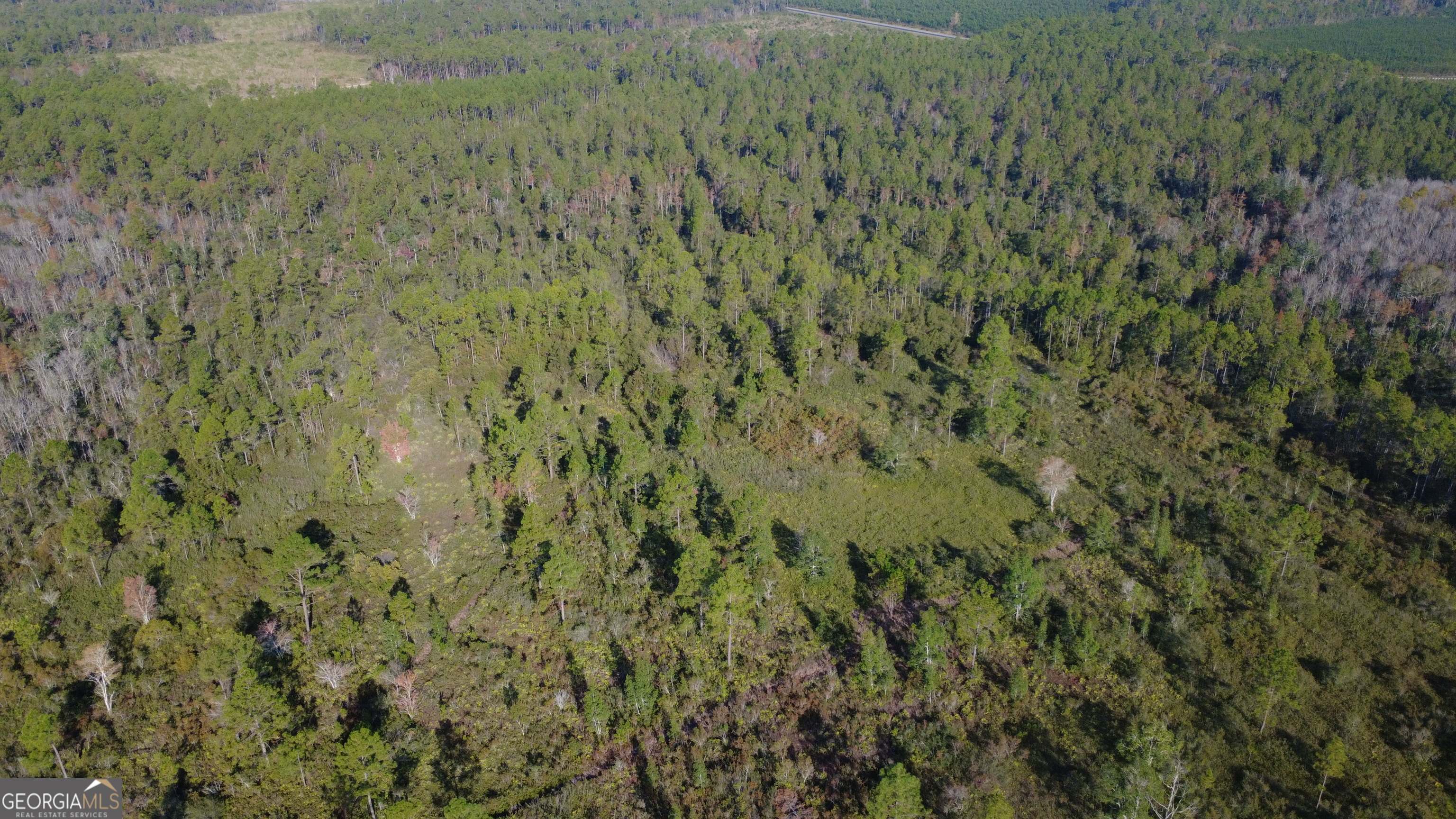 0 Fargo Highway Homerville, GA 31634 - Photo 7 of 13 a view of a field
