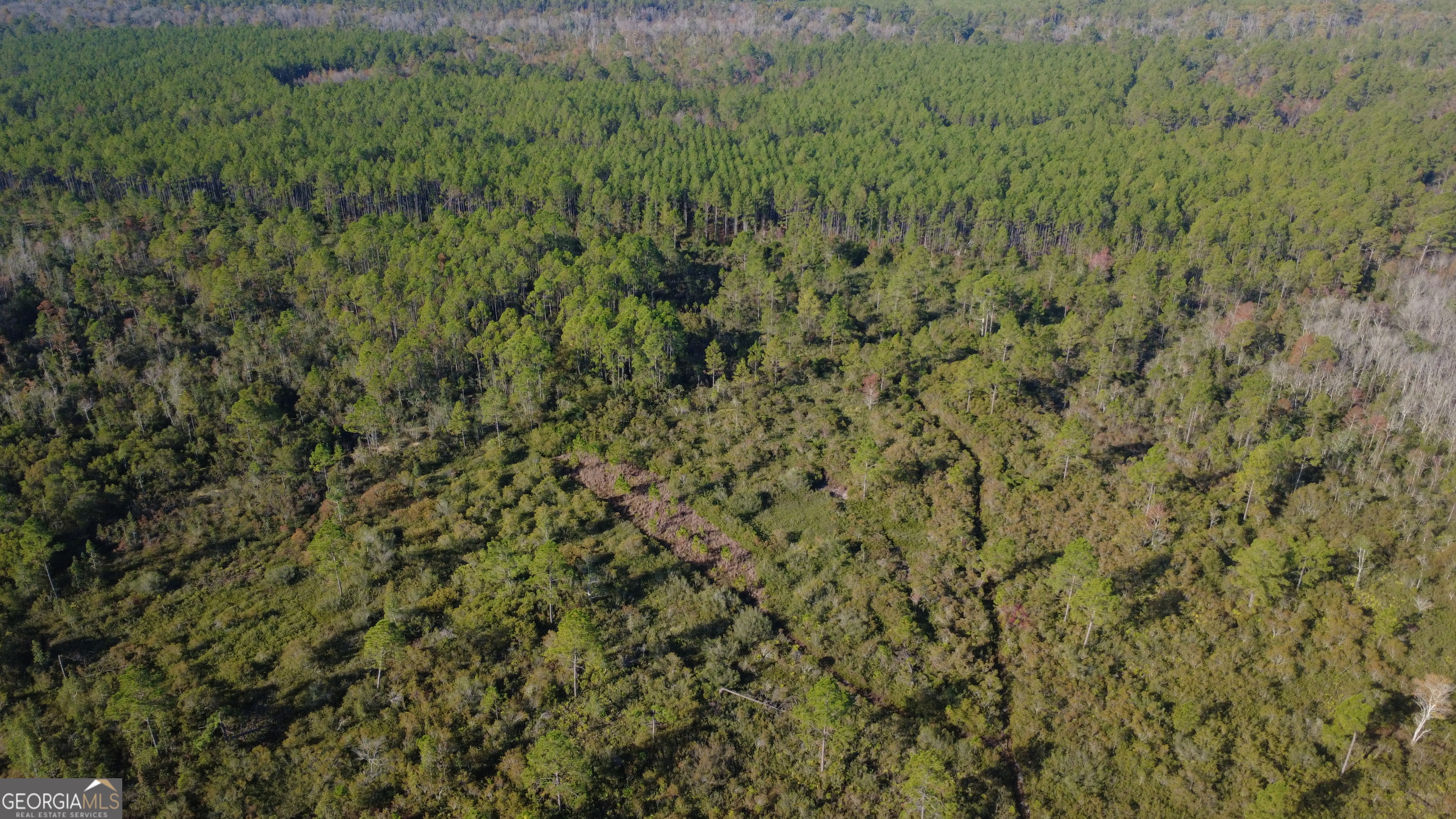0 Fargo Highway Homerville, GA 31634 - Photo 8 of 13 a view of a lush green field