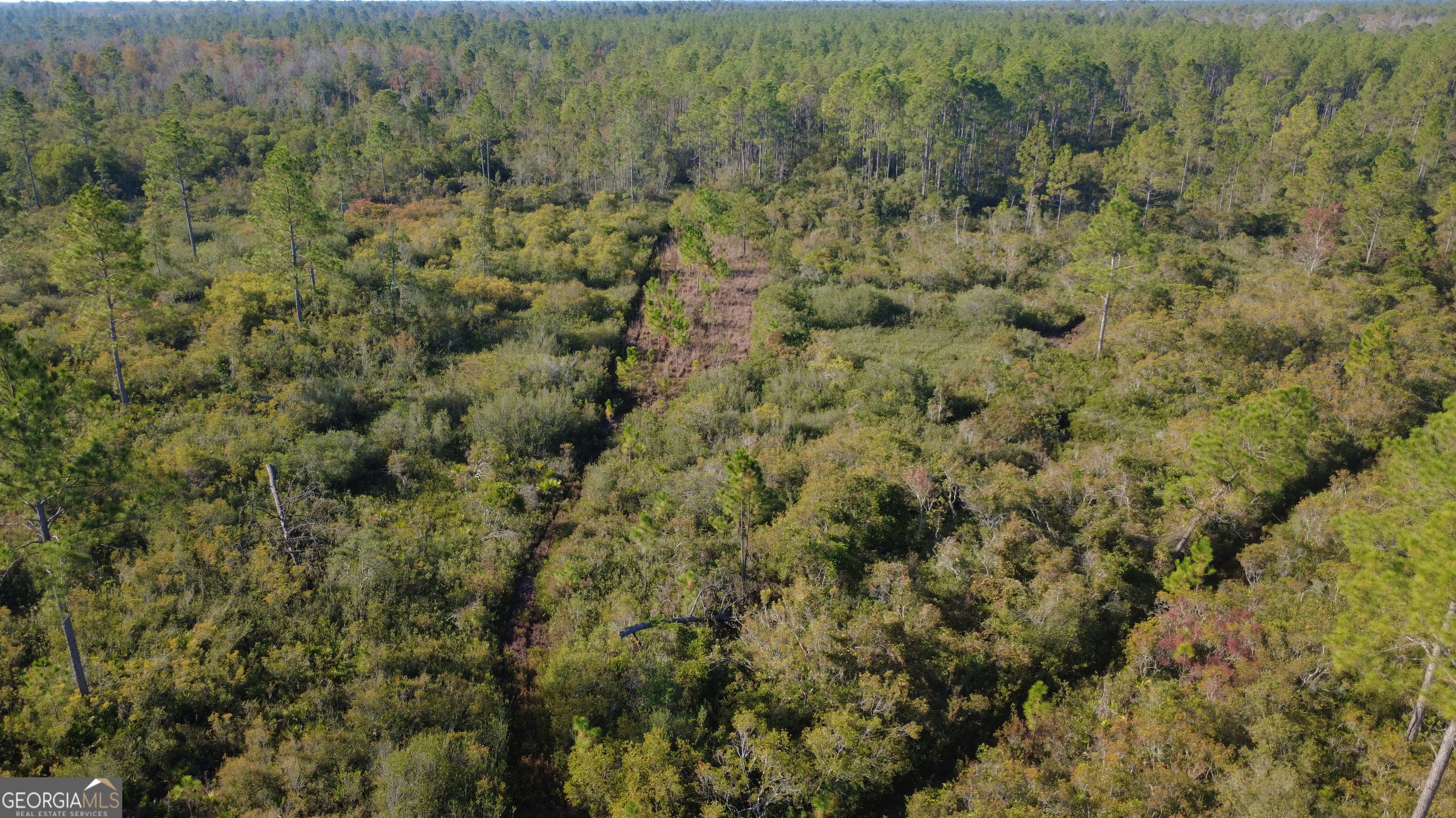 0 Fargo Highway Homerville, GA 31634 - Photo 9 of 13 a view of a covered with green field